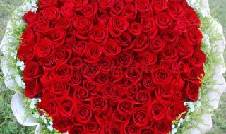 萬事圓圓是什么意思 萬事圓圓是什么意思