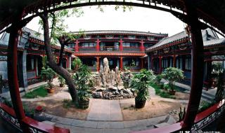 永不凋零的花是什么花 永不凋零的花是什么花