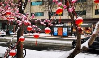 帶冰墩墩去故宮被圍觀 帶冰墩墩去故宮被圍觀